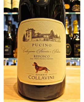 Vendita online Refosco Pucino Eugenio Collavini. Miglior prezzo on-line vini rossi di qualità