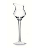 Mazzetti - Calice - Degustazione Distillati 