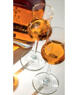 VENDITA ONLINE BICCHIERI DA GRAPPA FIRMATI MARZADRO MIGLIOR PREZZO ON LINE GRAPPA INVECCHIATA NEGOZIO ON-LINE