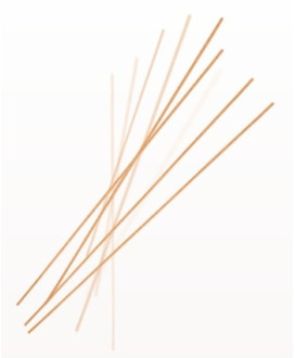 Online sales Felicetti pasta biological ORGANIC EMMER WHEAT. Shop online Felicetti pasta factory Monograno of organic semolina s