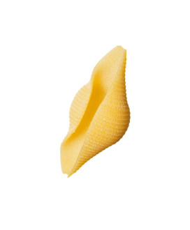 Online sales Felicetti pasta biological bronze drawn. Shop online Felicetti pasta factory Monograno of organic durum wheat semol