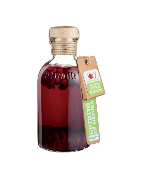 Wild Strawberries with Grappa Liquor - 50cl