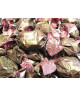 Virginia - Soft Amaretti Biscuits - Dark Chocolate : Size - 500 gr
