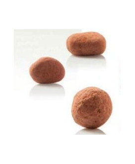 Antica Torroneria Piemontese - vendita online dragees - albicocche candite tartufate ricoperte di cioccolato fondente extra