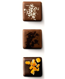 Online sales Italian chocolate specialties Majani of Bologna in gift boxes. Shop online Dark Milk Chocolate 