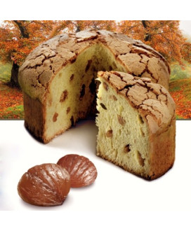 Vendita online panettone Flamigni Con Marrons Glaces. Shop on-line panettoni artigianali di alta pasticceria, dolce da forno l