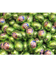 Majani - Fiat Eggs - Pistachios : Size - 100 gr