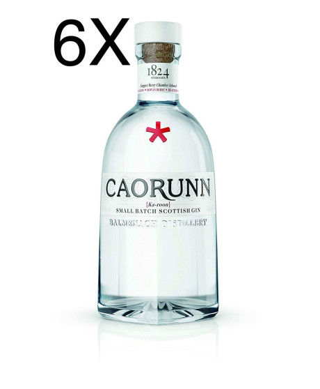 Vendita online Gin scozzese Caorunn Balmenach scottish gin. Miglior prezzo on-line gin Caorunn
