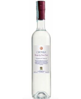 Shop online italian grappa pomace brandy Capovilla Rouge Pinot Noir Billecart Salmon. Best price italian product