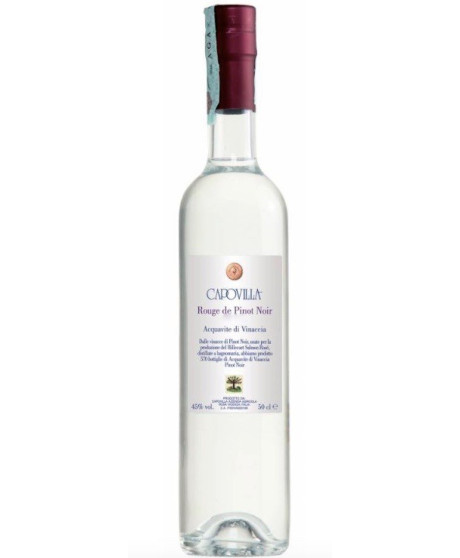 Shop online italian grappa pomace brandy Capovilla Rouge Pinot Noir Billecart Salmon. Best price italian product Shop online italian grappa pomace brandy Capovilla Rouge Pinot Noir Billecart Salmon. Best price italian product