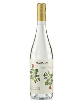 Online sales and prices of Barolo Grappa Bussia Italian Marolo white grappa. Shop online schnapps distillery Marolo Alba, Cuneo