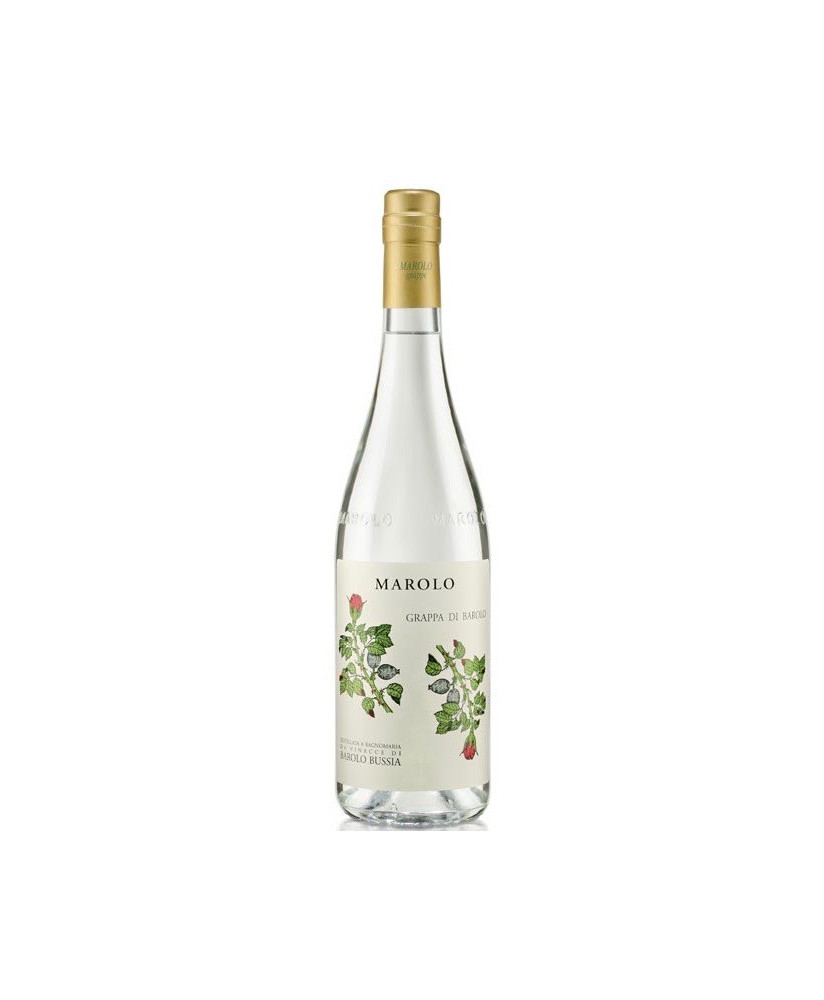 Online sales and prices of Barolo Grappa Bussia Italian Marolo white grappa. Shop online schnapps distillery Marolo Alba, Cuneo