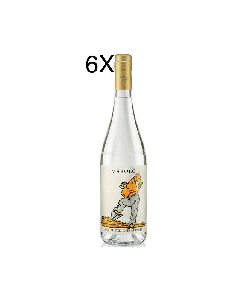 Online sales and prices Grappa Italian Marolo dedicata al Padre, White grappa. Shop online schnapps distillery Marolo Alba, Cune