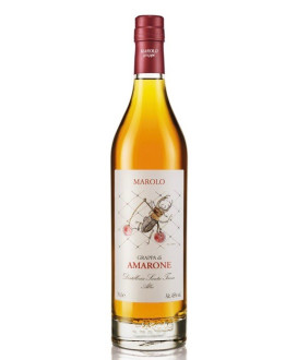 Buy online sales and prices Marolo Italian Grappa of Amarone Barricade. Shop schnapps distillery Marolo, Italy