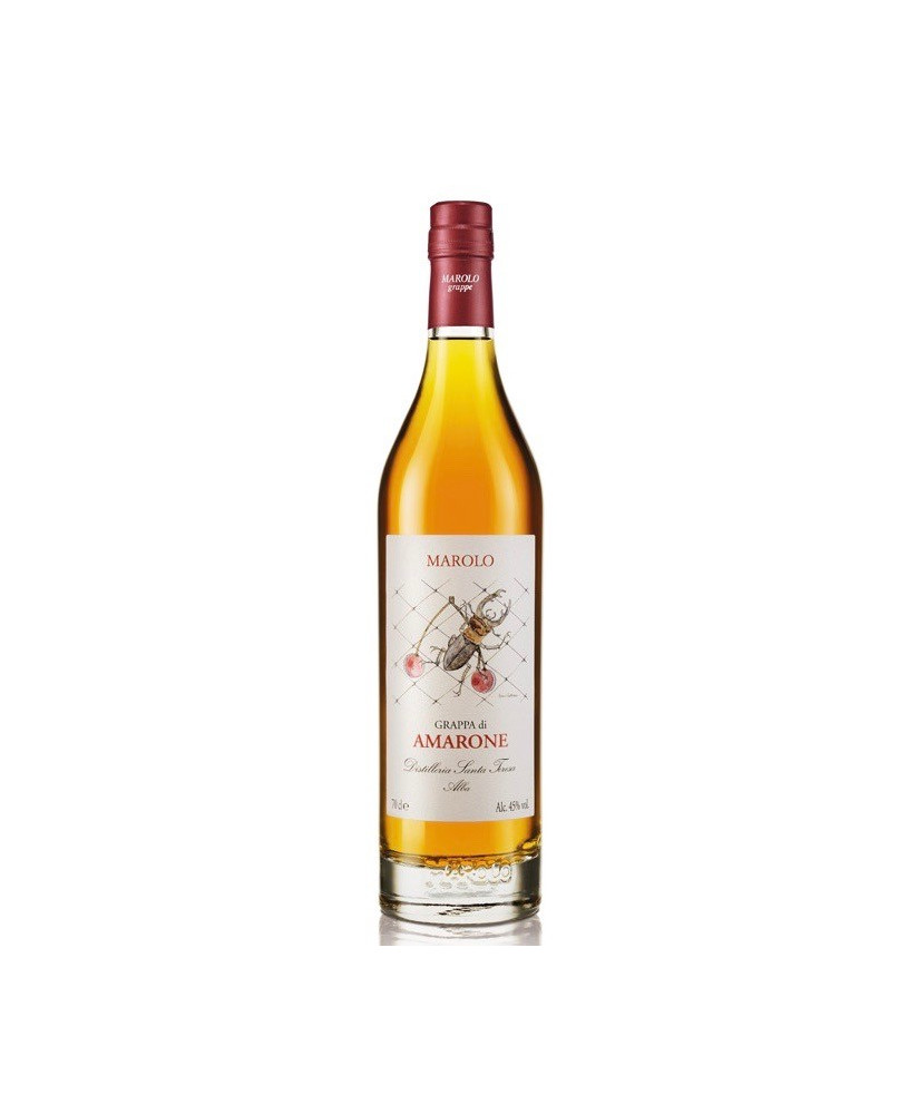 Buy online sales and prices Marolo Italian Grappa of Amarone Barricade. Shop schnapps distillery Marolo, Italy