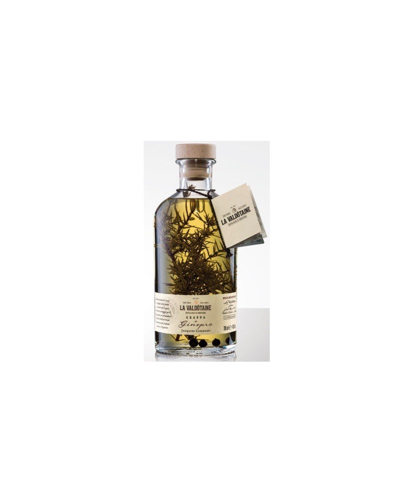 Vendita online La Valdotaine, Grappa e Ginepro. Shop online miglior prezzo grappa di qualità on line