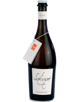Shop online beer with salt from Cervia, Salinae. Mister Drink Shop online beer with salt from Cervia Saline