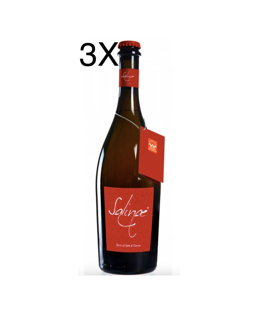 (3 BOTTLES) Salinae - double malt amber Beer with Salt of Cervia - 75cl