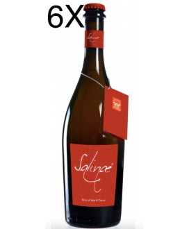 Shop online beer with salt from Cervia, Salinae. Mister Drink Shop online beer with salt from Cervia Saline