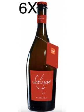 (6 BOTTLES) Salinae - double malt amber Beer with Salt of Cervia - 75cl