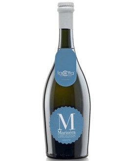 Vendita online birra artigianale al sale La Cotta Marinéra - Birra delle saline. Miglior prezzo on-line birre artigianali dell'a