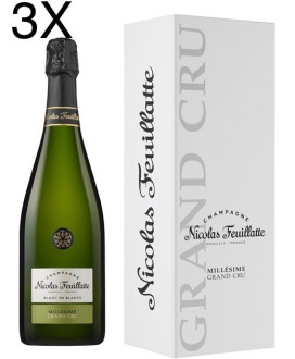 Online shop Champagne Nicolas Feuillatte Grand Cru Blanc de Blancs millésimé. Online quality French champagne