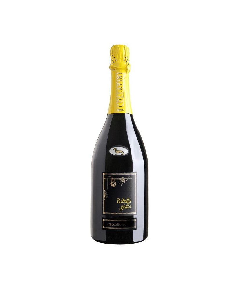 Vendita online Ribolla Gialla spumantizzata Eugenio Collavini. Miglior prezzo on-line spumanti di qualità brut millesimato
