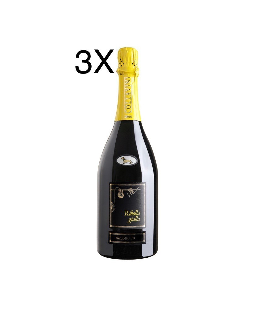 (3 BOTTLES) Collavini - Ribolla Gialla Brut Millesimé 2018 - 75cl