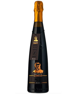 Lambrusco Ceci Dry Terre Verdiane - Online shop Lambrusco Ceci best online price red sparkling Lambrusco