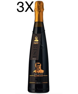 Lambrusco Ceci Dry Terre Verdiane - Online shop Lambrusco Ceci best online price red sparkling Lambrusco