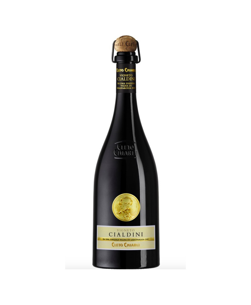 Vendita online lambrusco Grasparossa di Castelvetro Cleto Chiarli Vigneto Cialdini, miglior prezzo on line lambrusco emiliano