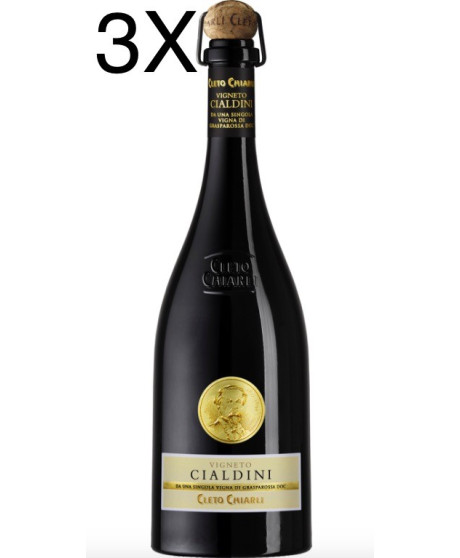 Online shop lambrusco Grasparossa di Castelvetro Cleto Chiarli Vigneto Cialdini, best price online italian wine lambrusco Online shop lambrusco Grasparossa di Castelvetro Cleto Chiarli Vigneto Cialdini, best price online italian wine lambrusco