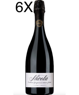 Online shop lambrusco Nivola, Grasparossa of Castelvetro Cleto Chiarli, best quality online quality italian wine lambrusco