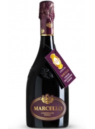 Ariola - Marcello - Gran Cru - Lambrusco IGP  - 75cl