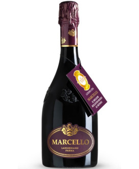 Online sale Lambrusco Marcello Gran Cru, Cantina Ariola, best price on line italian sparkling red wine quality. Online Shop