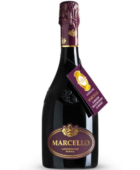 Ariola - Marcello - Gran Cru - Lambrusco IGP  - 75cl