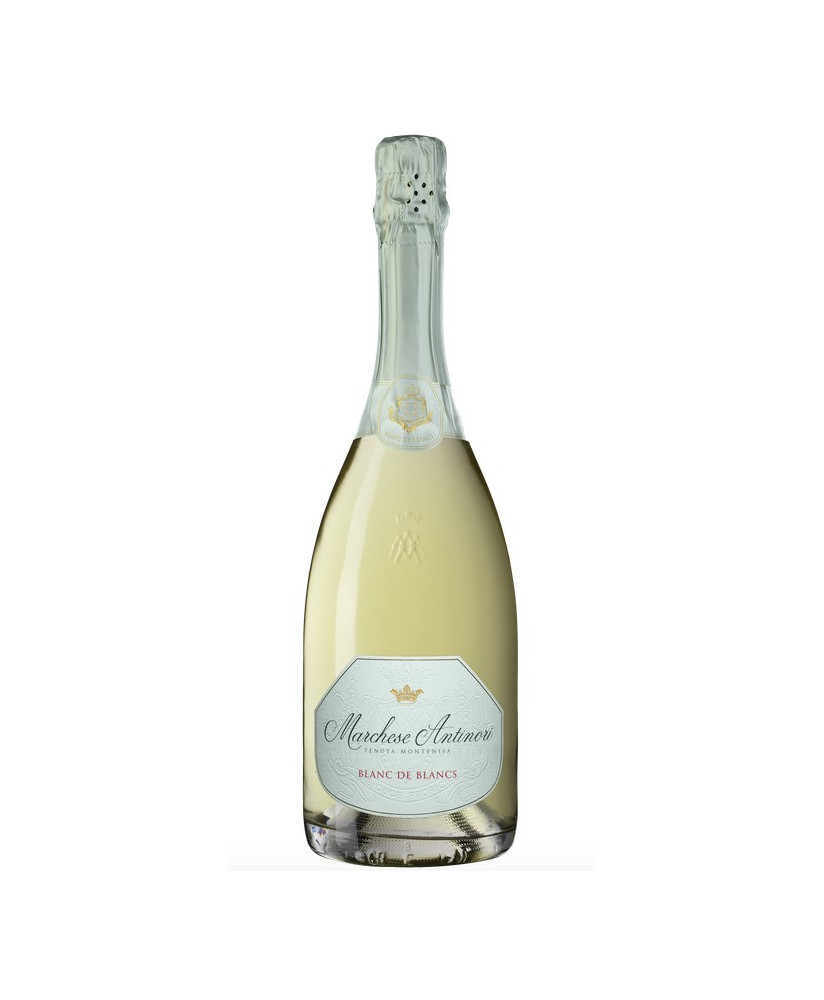 Buy online Italian Wine Marchese Antinori, Tenuta Montenisa Franciacorta Brut Blanc de Blancs. Sparkling white wine online.