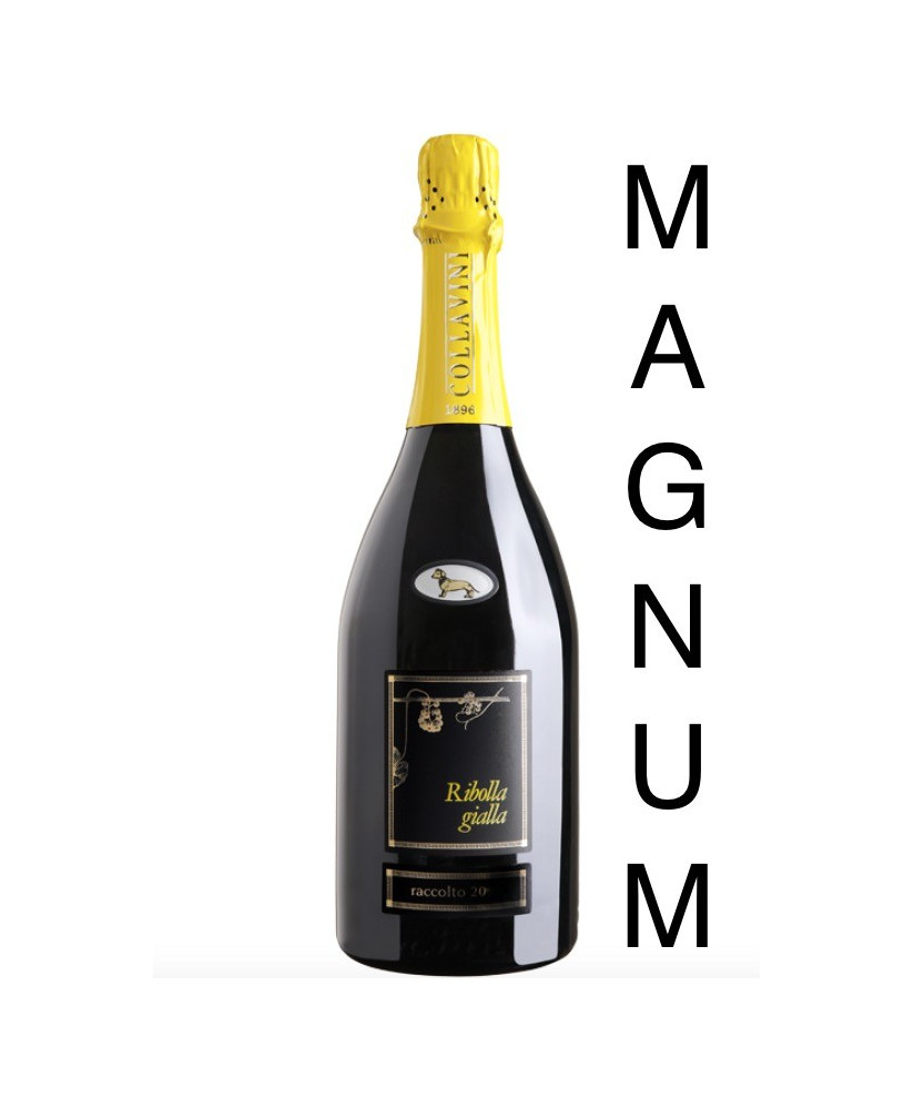 Shop online italian Sparkling Yellow Ribolla Eugenio Collavini. Best price online brut quality sparkling millesimé