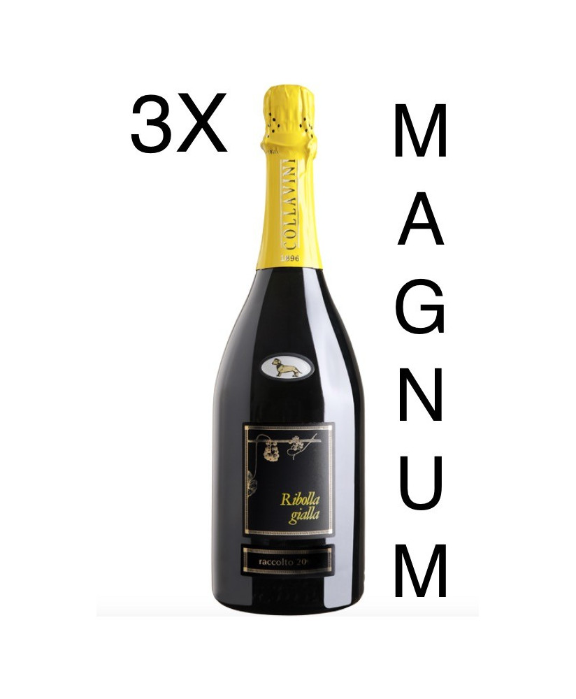 Vendita online Ribolla Gialla spumantizzata Eugenio Collavini. Miglior prezzo on-line spumanti di qualità brut millesimato