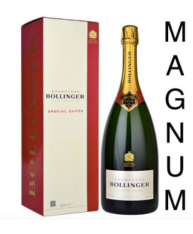 Vendita online Bollinger Special Cuvée Magnum astucciato. Shop on line Bollinger al miglior prezzo. Enoteca
