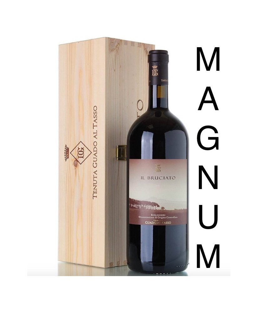 Tenuta Guado al Tasso - Il Bruciato Magnum - Vendita prezzo online vini Antinori - Vino rosso Bolgheri shop