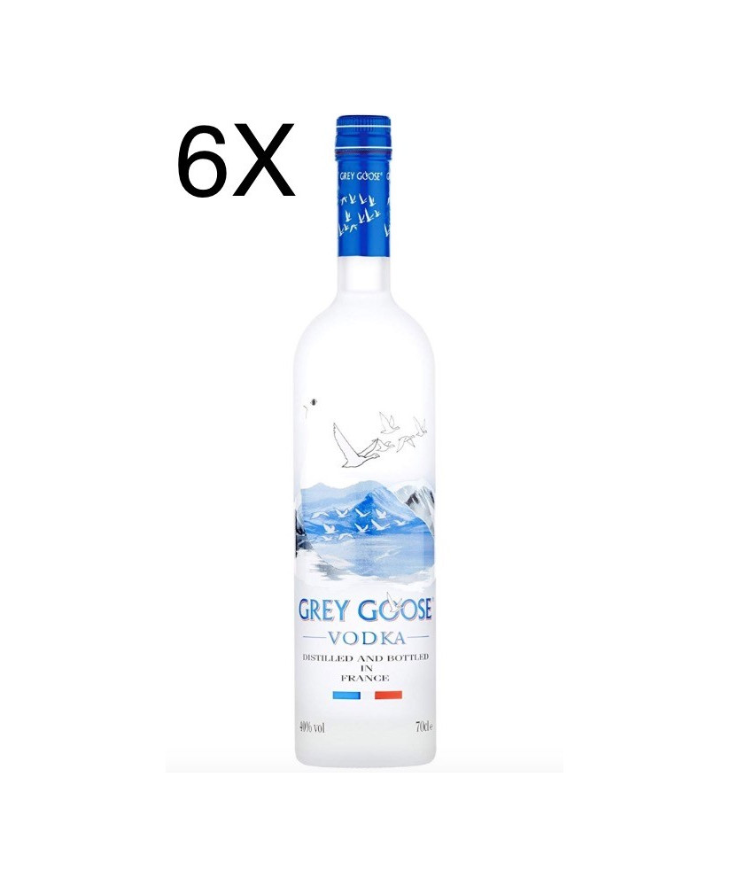 (6 BOTTIGLIE) Grey Goose Vodka - 70 cl 