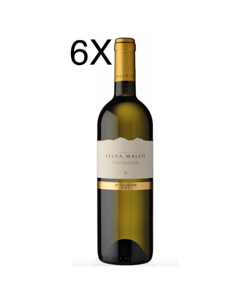 Vendita online vini Elena Walch, Sauvignon Alto Adige DOC. Miglior prezzo online Sauvignon Elena Walch trentino