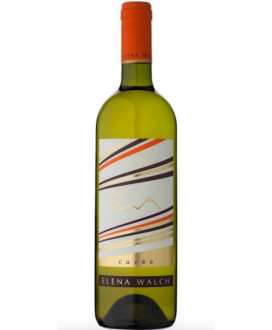 Vini Bianchi Elena Walch Ewa Cuvee prezzo online | Corso101.com