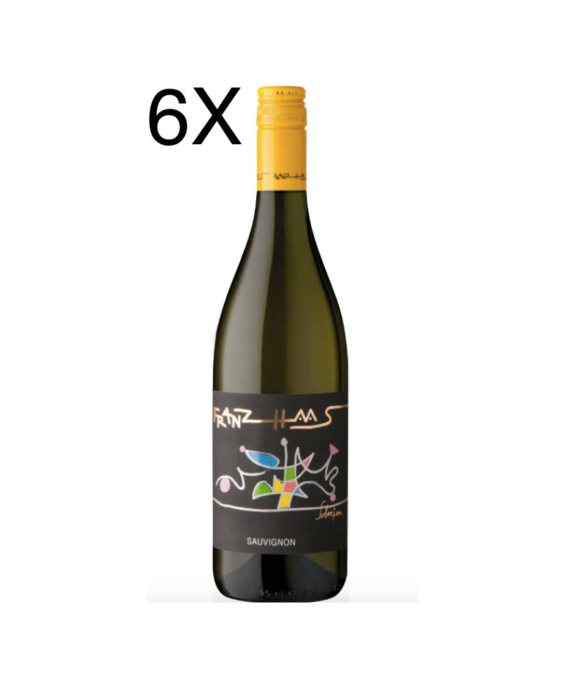 Vendita online vini bianchi della cantina Franz Haas Sauvignon DOC tappo a vite, vitigno Trentino. Shop on-line e prezzi Franz H