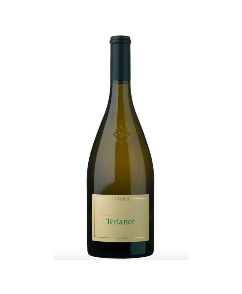 Terlan - Terlaner 2022 - Alto Adige DOC - 75cl