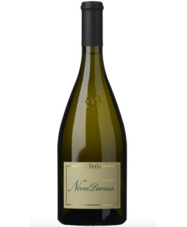 Terlan Nuova Domus Terlaner Riserva - Vendita online vini bianchi trentini linea selezione Cantina Terlano - Shop