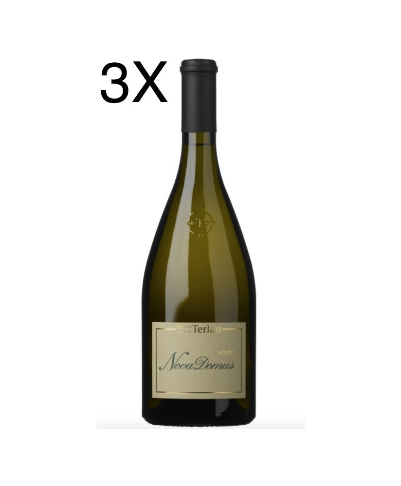 Terlan Nuova Domus Terlaner Riserva - Vendita online vini bianchi trentini linea selezione Cantina Terlano - Shop
