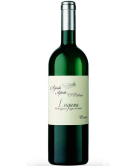 Zenato - Santa cristina - Shop Lugana Doc Veneto wine Trebbiano di Lugana grapes - Online sales - Best price
