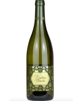 Vini Jermann Vendita online e prezzo Vintage Tunina! Enoteca shop online vini friulani Jermann qualità!